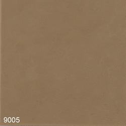9005