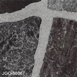 JGC-30067